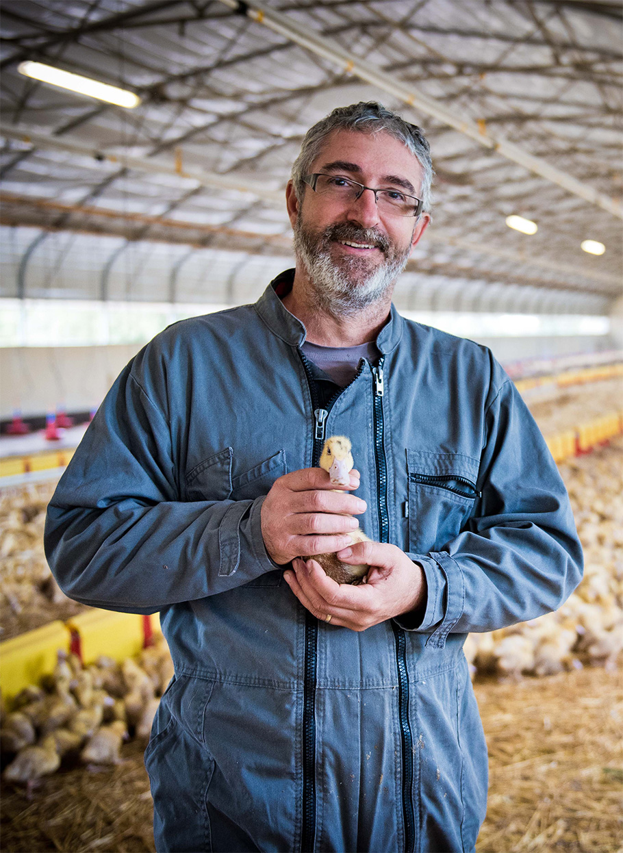 Éric Niveau, Éleveur de canard gras
