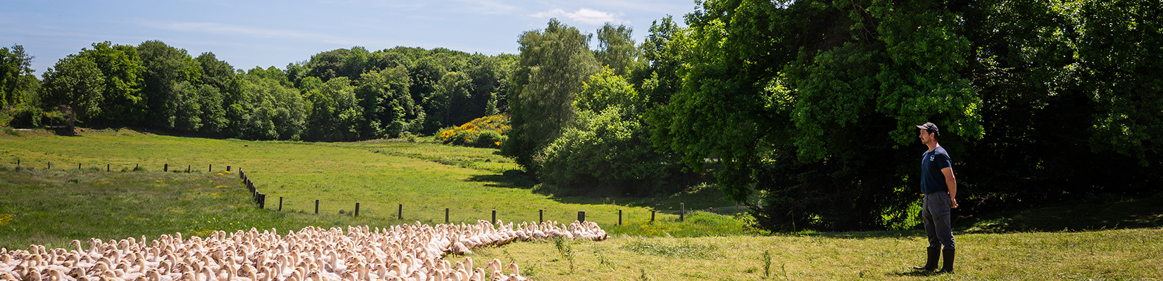 Groupement de Producteurs de canards depuis 1975