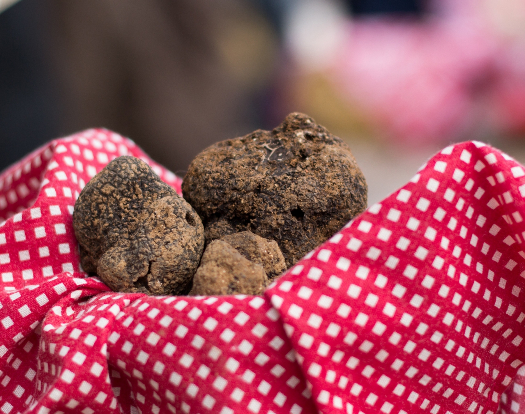 Marché aux truffes du Périgord de Lalbenque