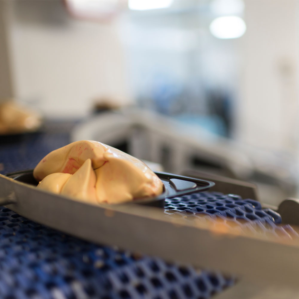 developpement durable foie gras maison occitane